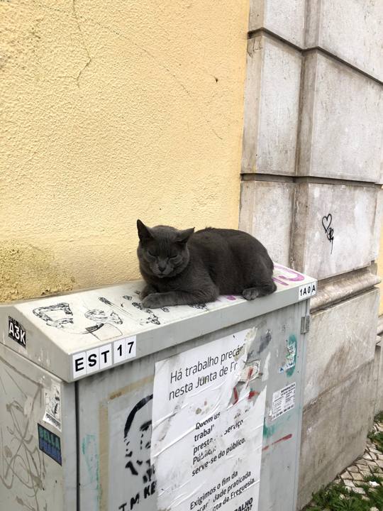 Photo de voyage