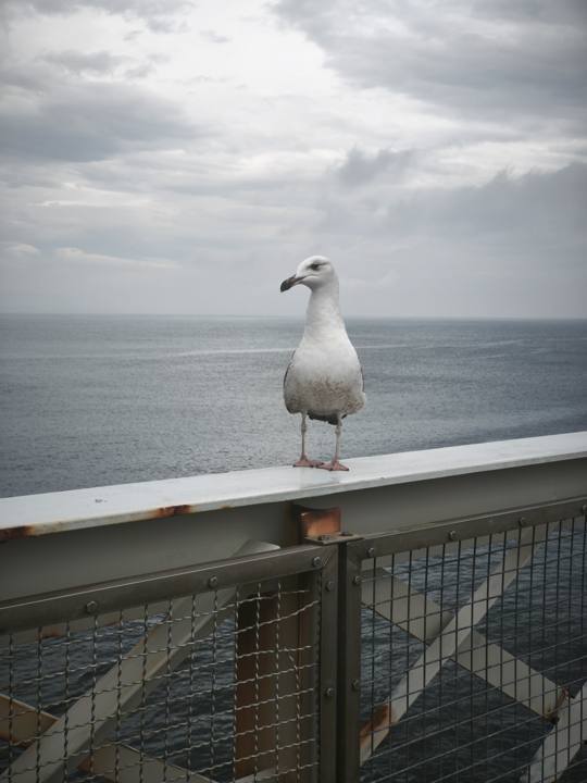 Photo de voyage