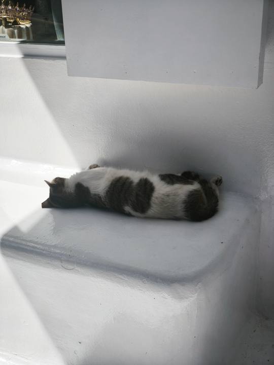 Photo de voyage